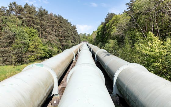 Large industrial pipeline traversing through a green forest in Geesthacht, Germany.